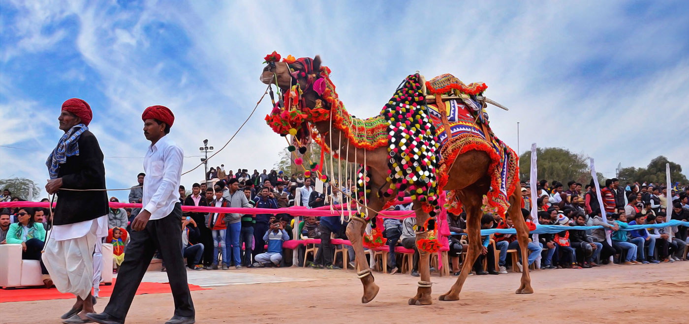 Best Things To Do In Rajasthan For An Amazing Desert Vacation.